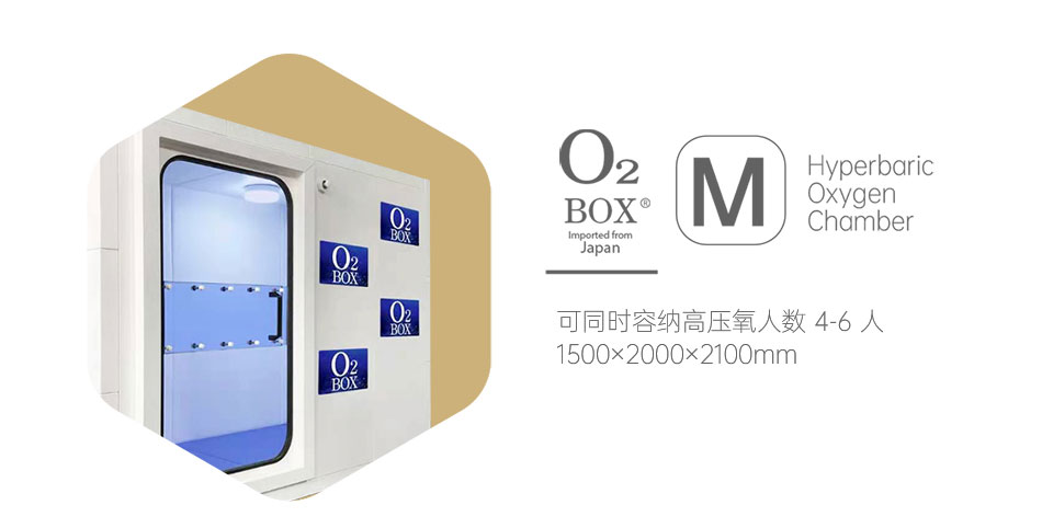 O2BOX日本高壓氧艙 L型（6-8人）